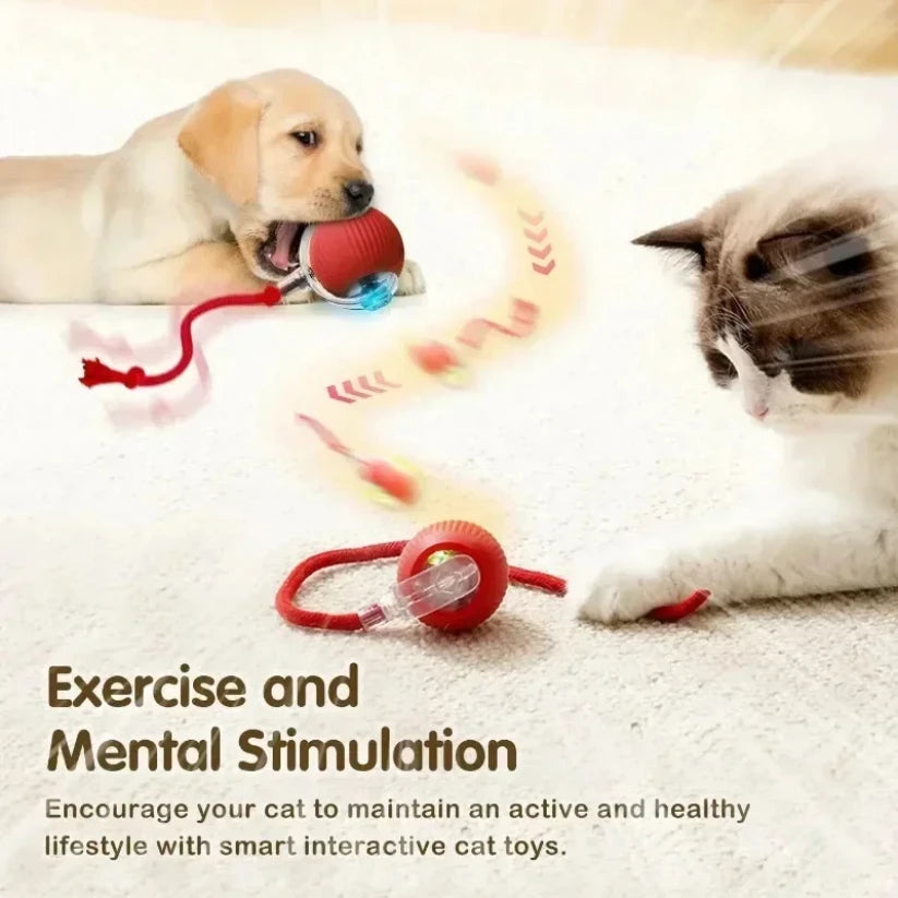 Juguete Interactivo con Evasión de Obstáculos y Luces LED para Perros y Gatos