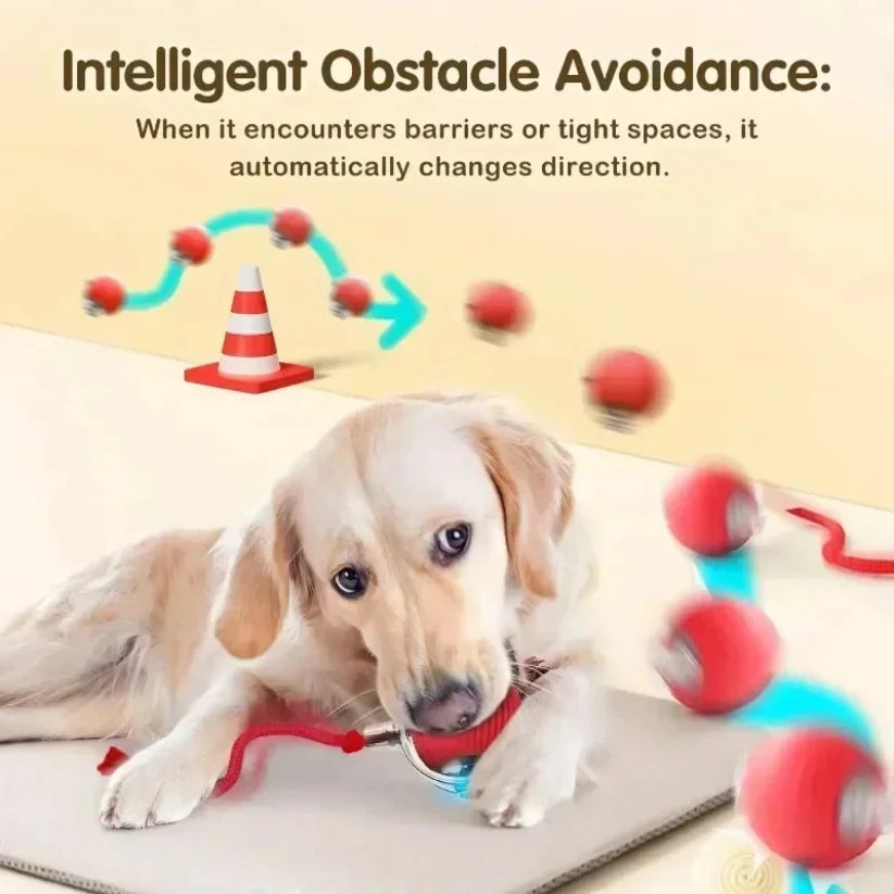 Juguete Interactivo con Evasión de Obstáculos y Luces LED para Perros y Gatos