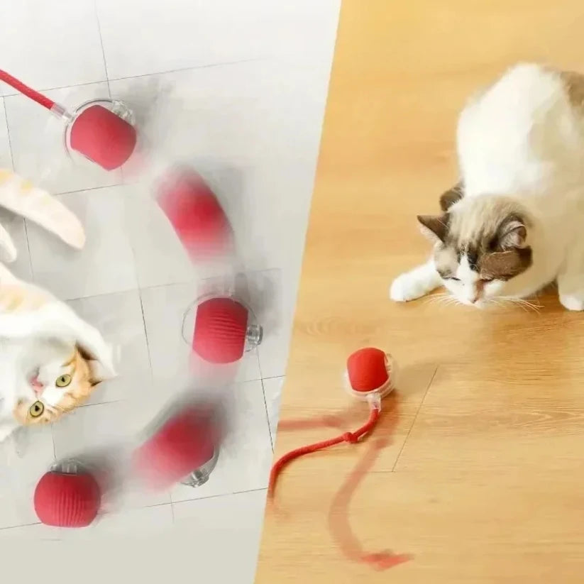 Juguete Interactivo con Evasión de Obstáculos y Luces LED para Perros y Gatos